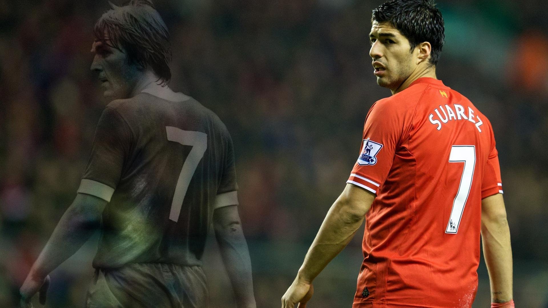 南非橄榄球战术创新走向国际，能否再次打破强队格局，南非获得橄榄球世界杯