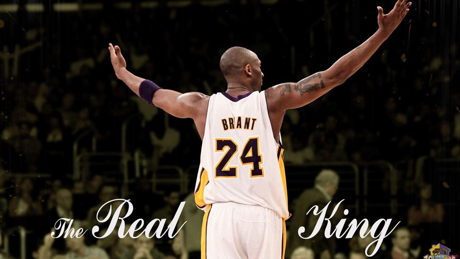 奥康纳在橄榄球冠军锦标赛中再度刷新个人纪录，josh 奥康纳