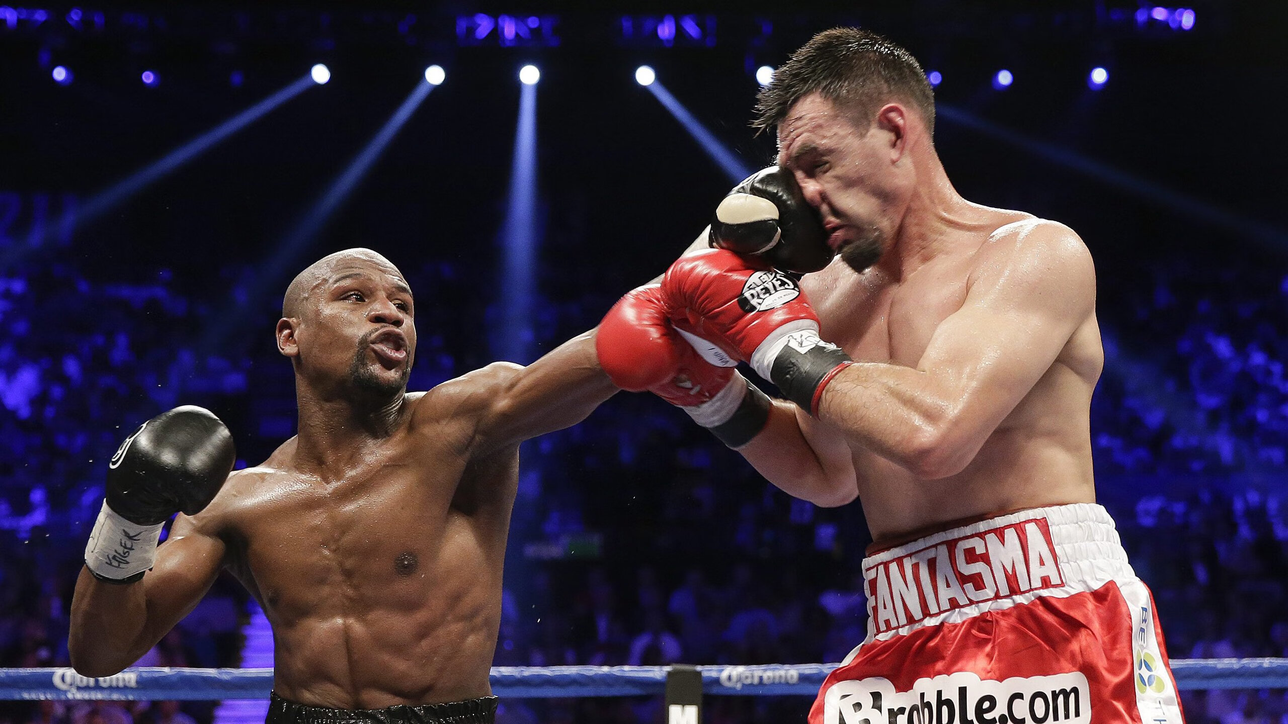 足球场馆数字化管理平台正式上线，提升运营效率，足球场管理系统app