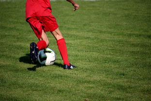 AYX体育-足球场馆数字化管理平台正式上线，提升运营效率，足球场管理系统app